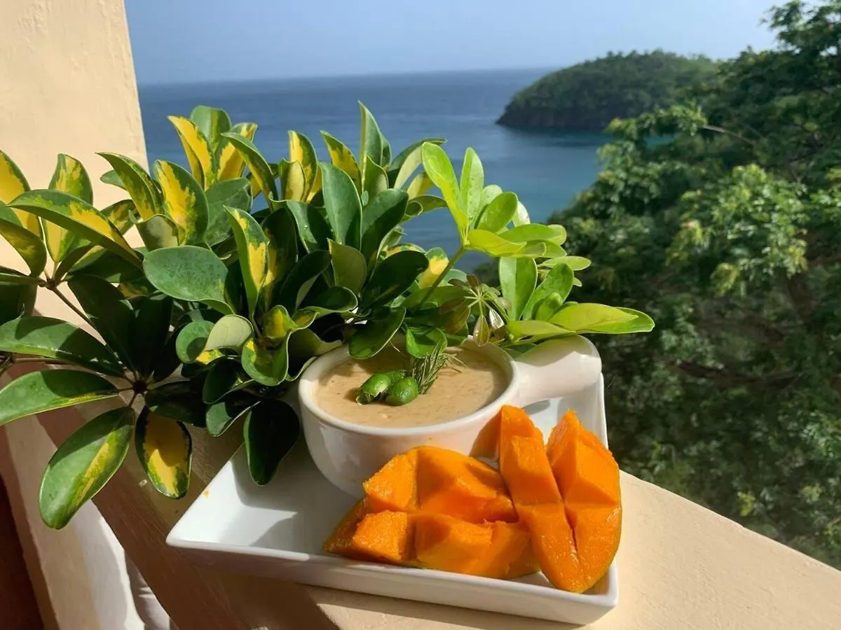 Story Villa 1 Bedroom With Ocean & Mountain View Canaries Saint Lucia